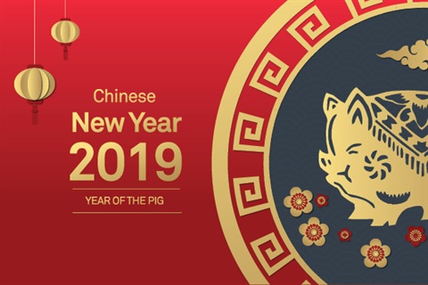 Chinese New Year 2019 - Year of the Pig