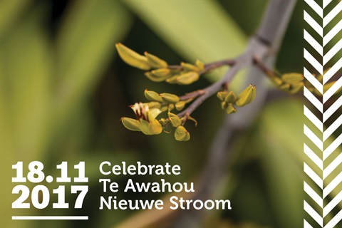 Celebrate Te Awahou Nieuwe Stroom Opening